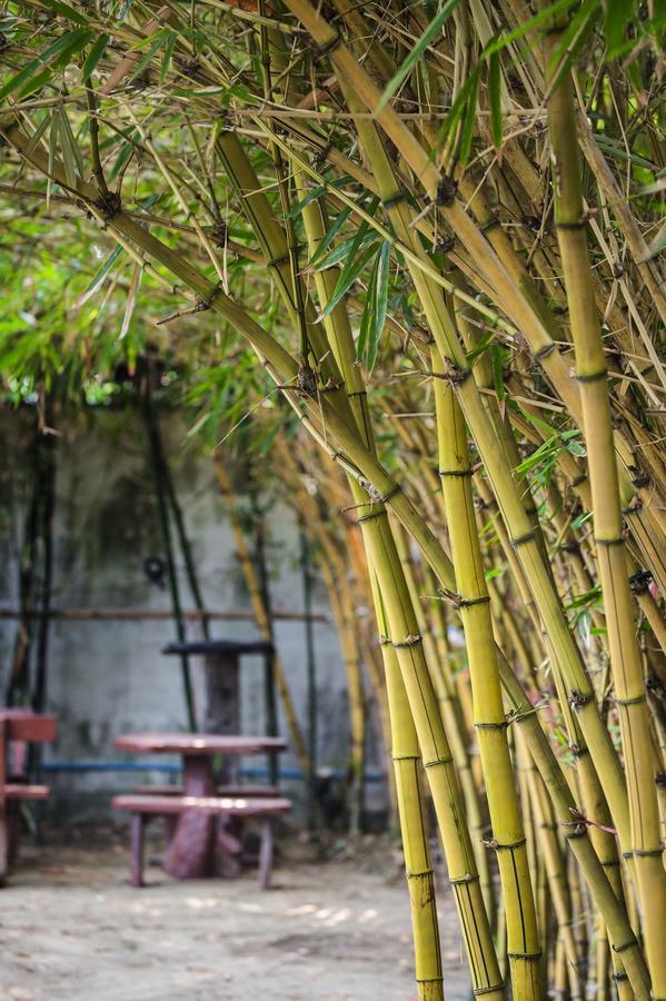 The Loft Resort Bangkok Eksteriør bilde